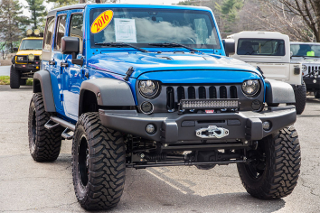 Two Tone Wild Boar Aggressive Hawkeye Grille